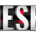 Оригинальные часы Diesel Diesel DZ2191SET кварцевые калибр механизма  общий вид